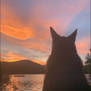 Meet your Posher, Isabella